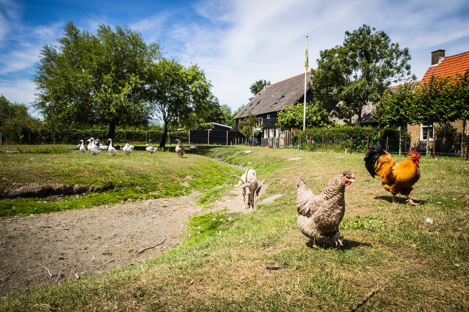 Ferienwohnung - Kon. Emmaweg 26 | Vrouwenpolder 'Uitspanning Oranjezon'  