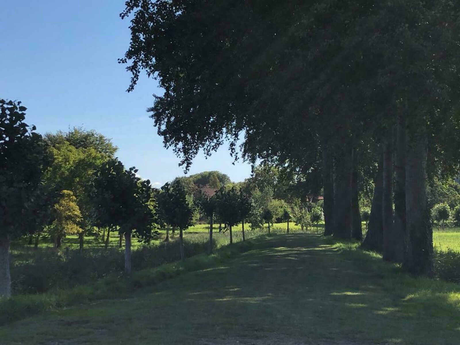 Ferienhaus Sonnewende