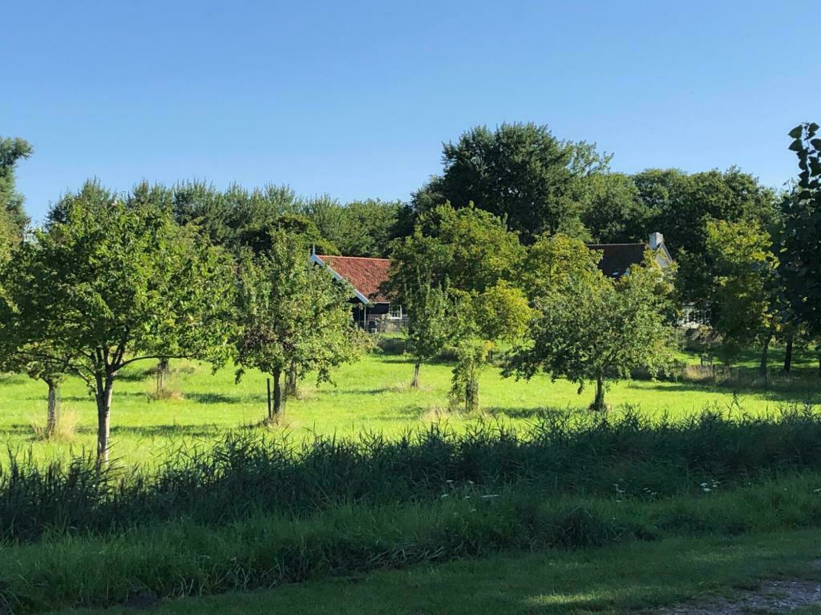 Ferienhaus Sonnewende