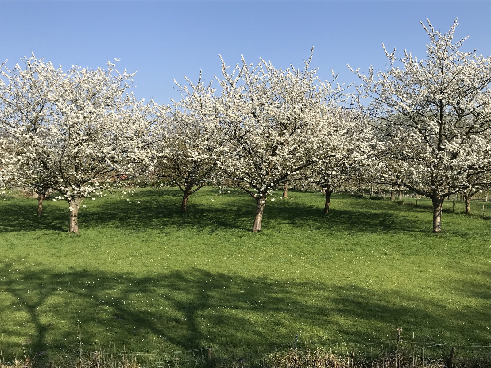 Ferienhaus Sonnewende