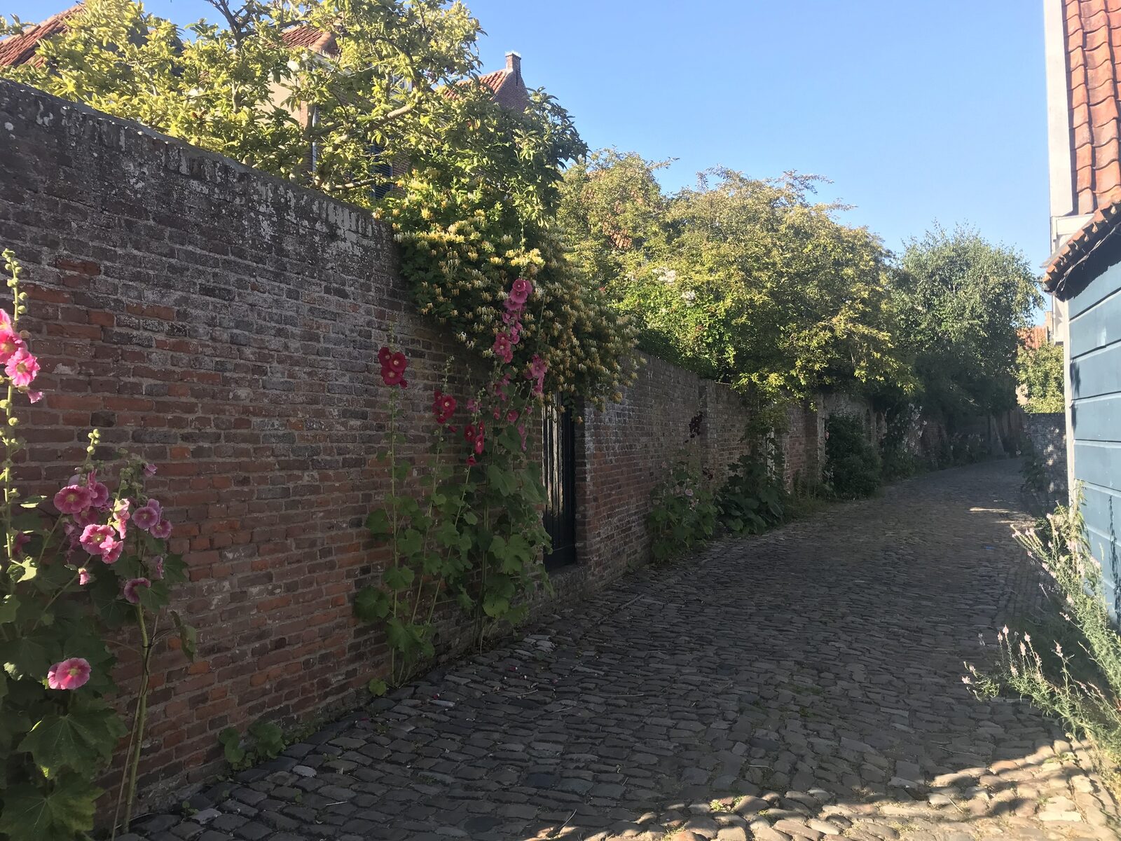 Ferienhaus Sonnewende