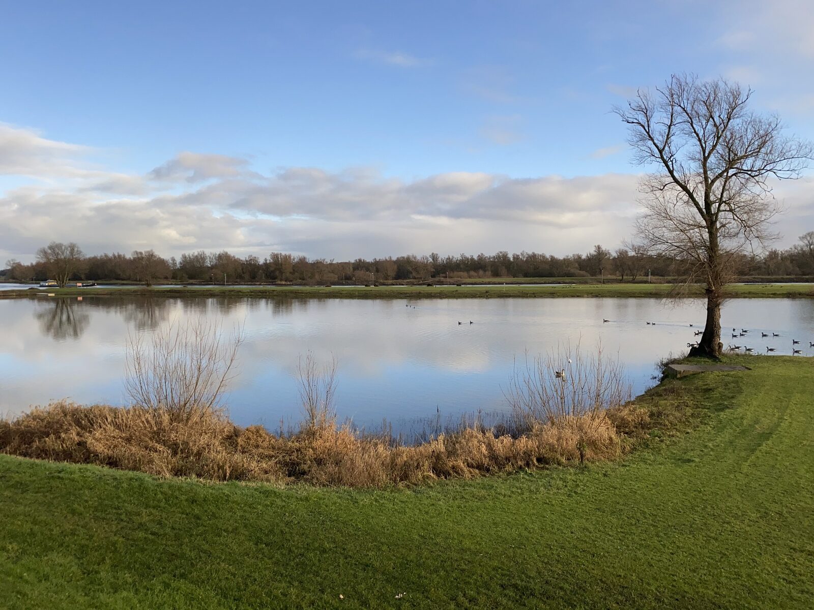IJssel Chalet am Wasser | 4 Personen