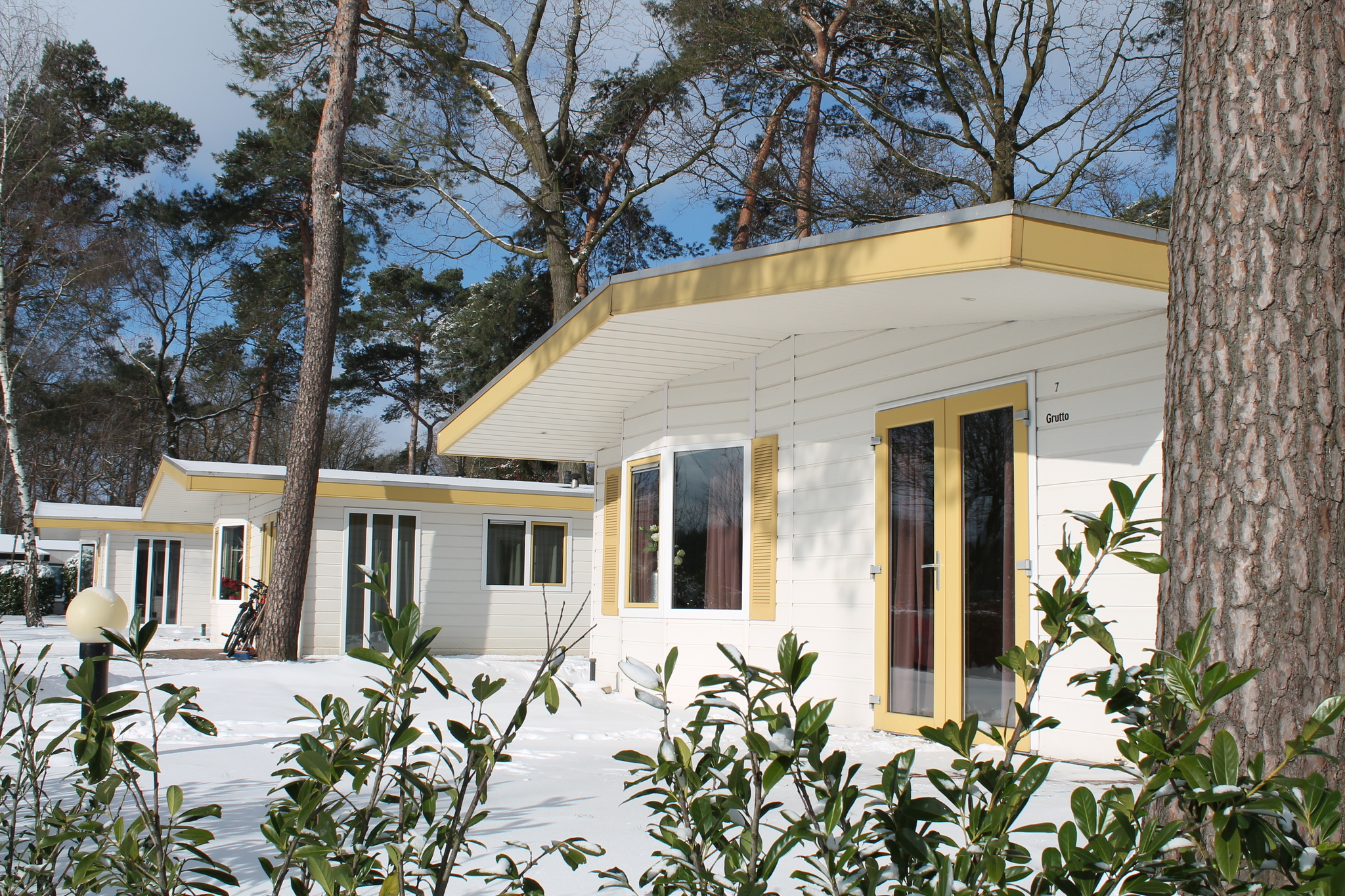 Bungalowchalet+ | 6 personen