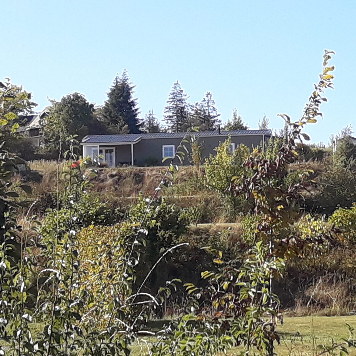 Chalet Marron 
