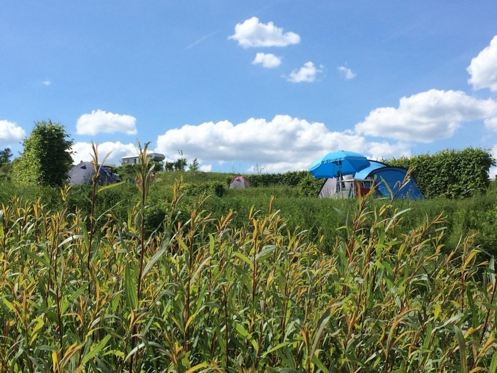 Categorie A - Natuurplaats tent