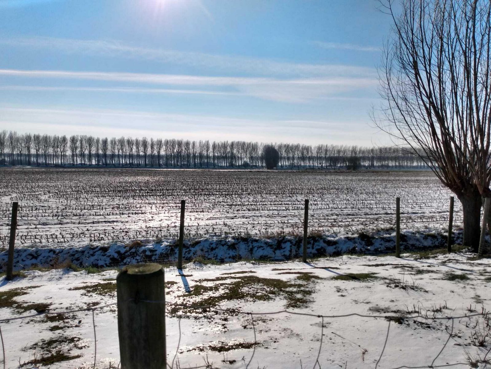 VZ550 Holiday villa Sluis