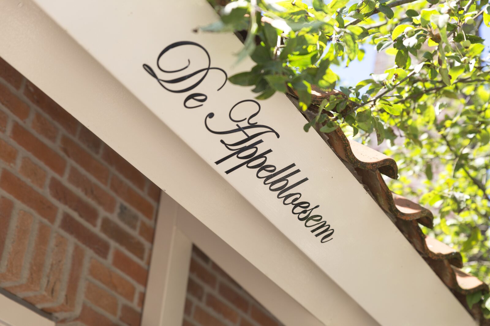 De Appelbloesem 6-persoons met overdekte hottub, barrelsauna, lounge, wifi
