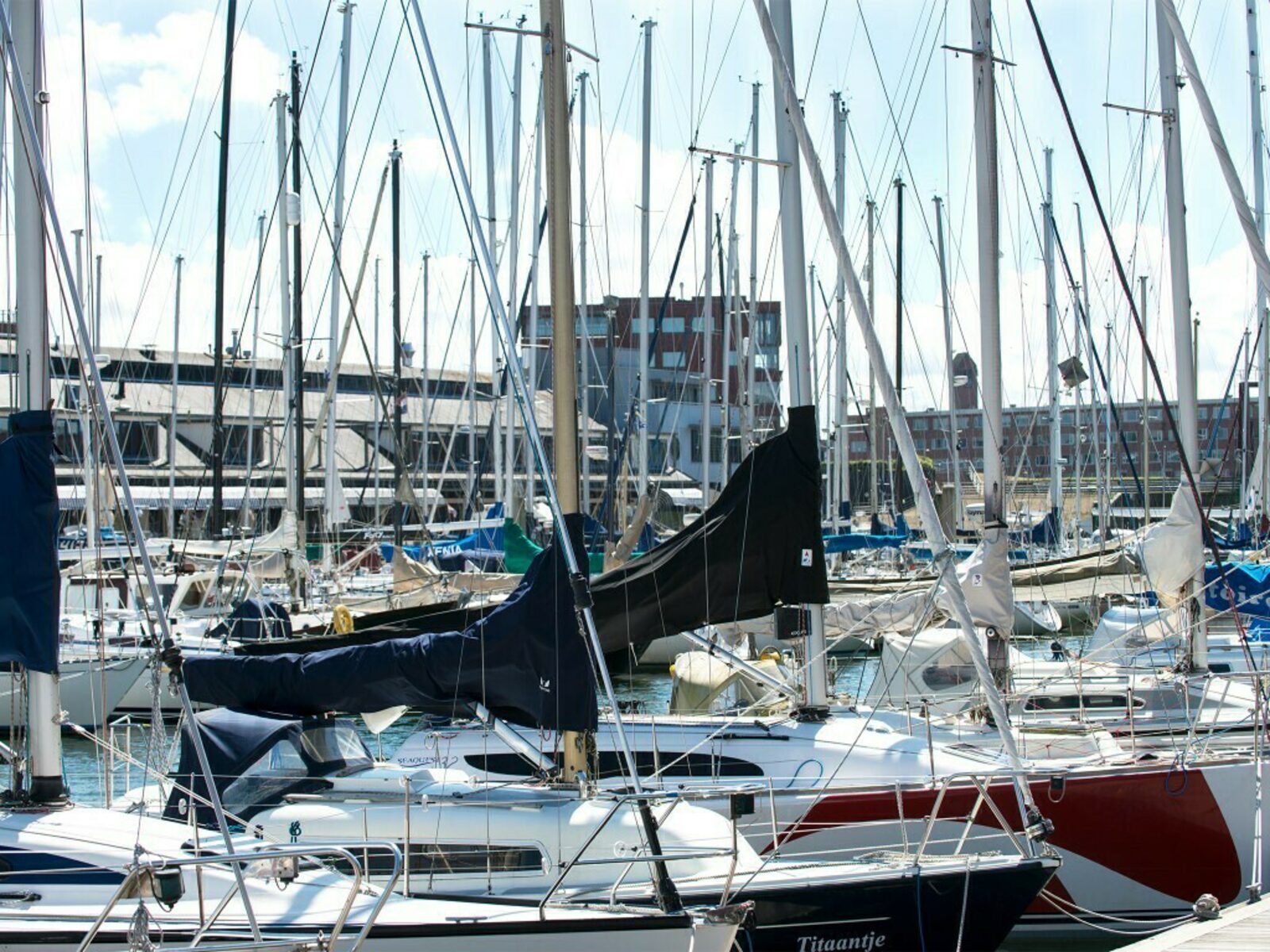 Harbour 80C