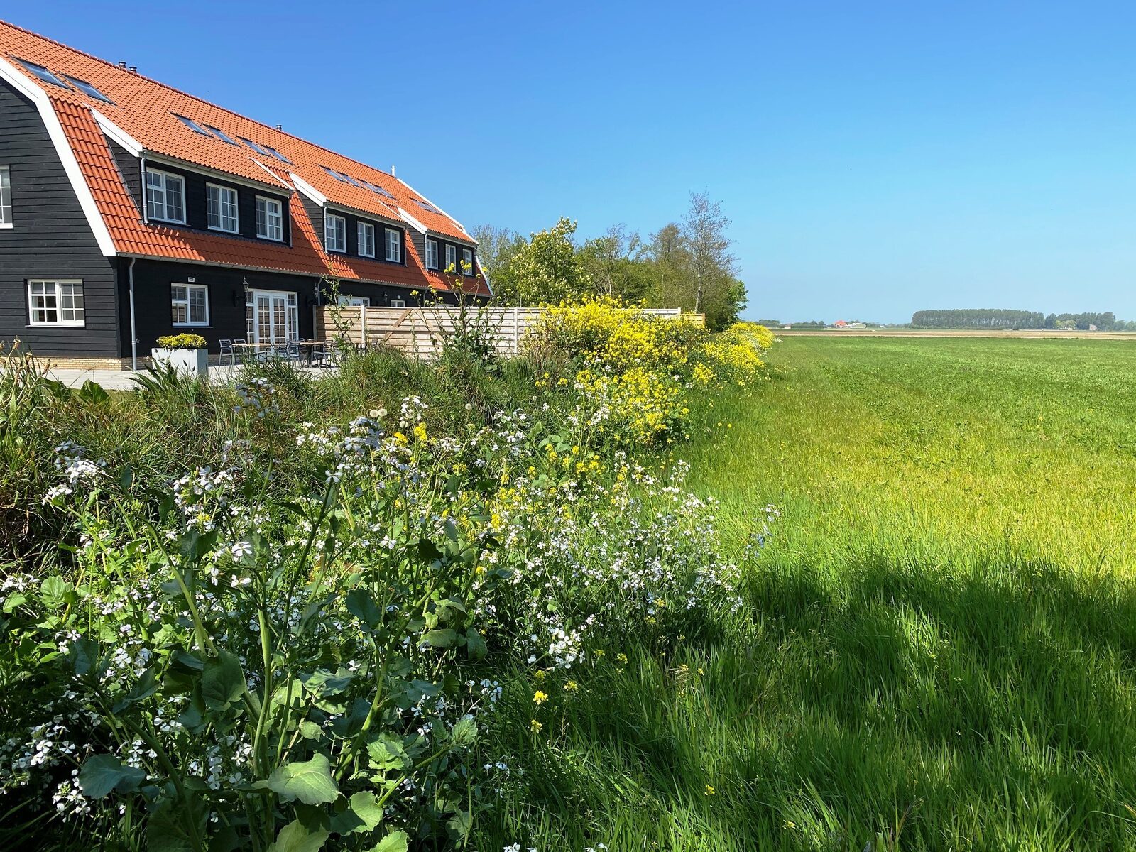 Texels Landleven XL I duurzaam vakantiehuis voor groepen