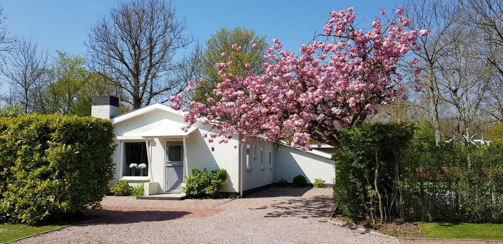 VZ984 Ferienbungalow in Oostkapelle