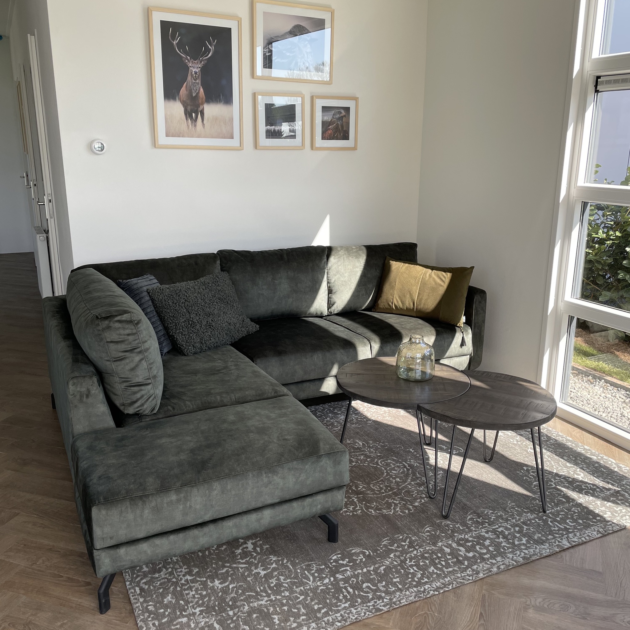 cube-comfort-6-people