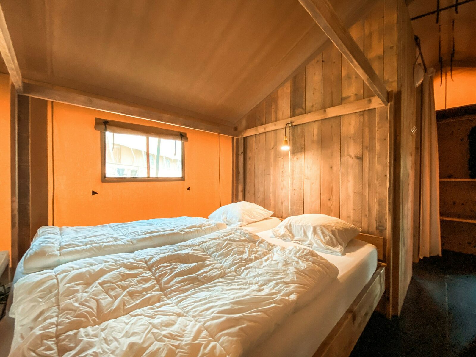 Summer Lodge