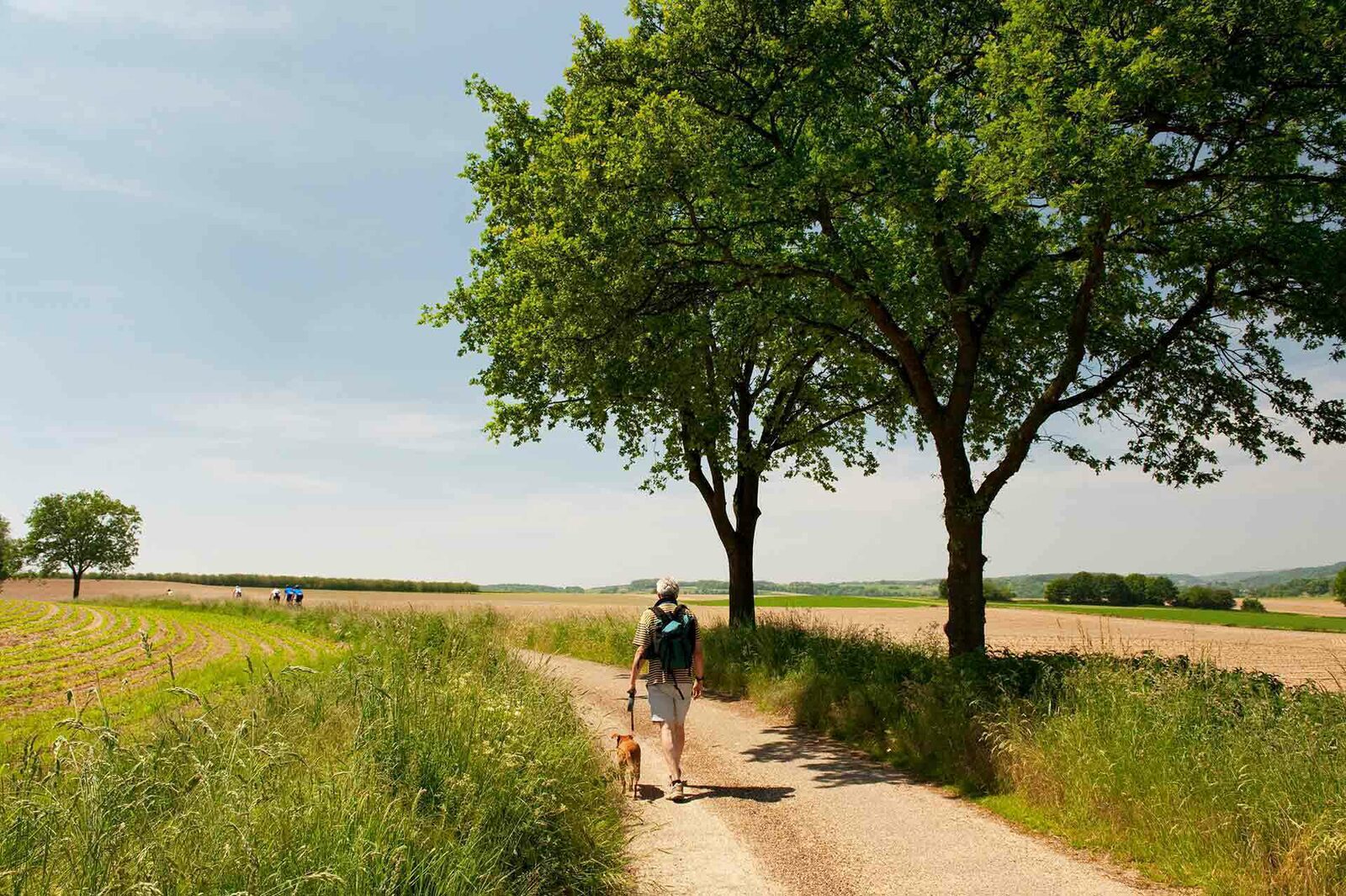 6 personen | Standaard+