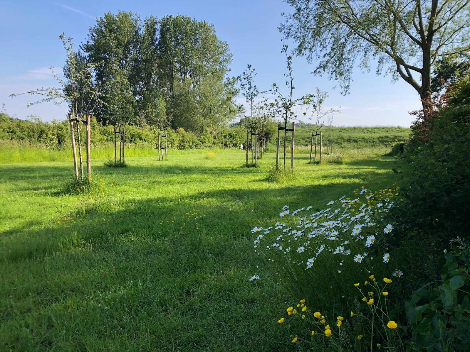 Ferienhaus Sonnewende
