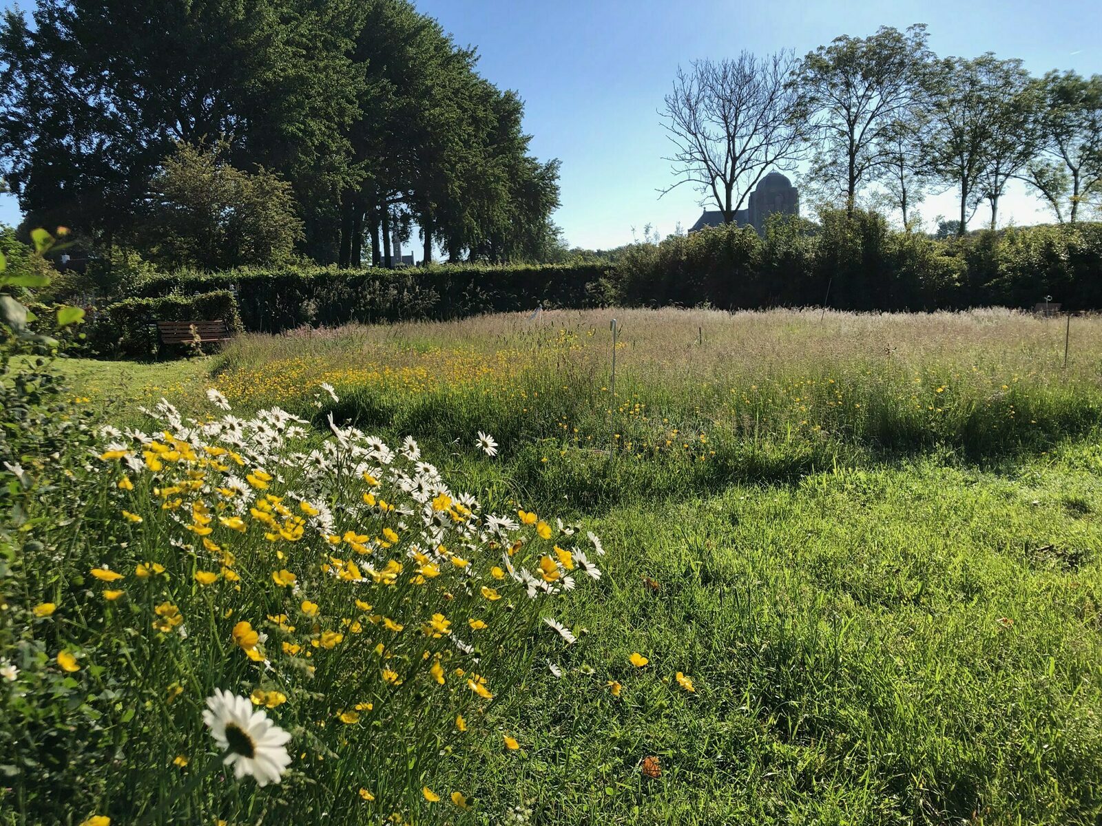 Ferienhaus Sonnewende