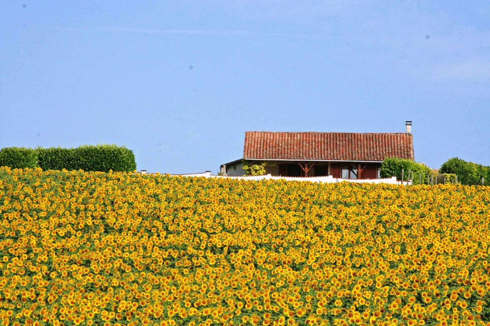 Domaine de Longeveau - gîte Catalpa