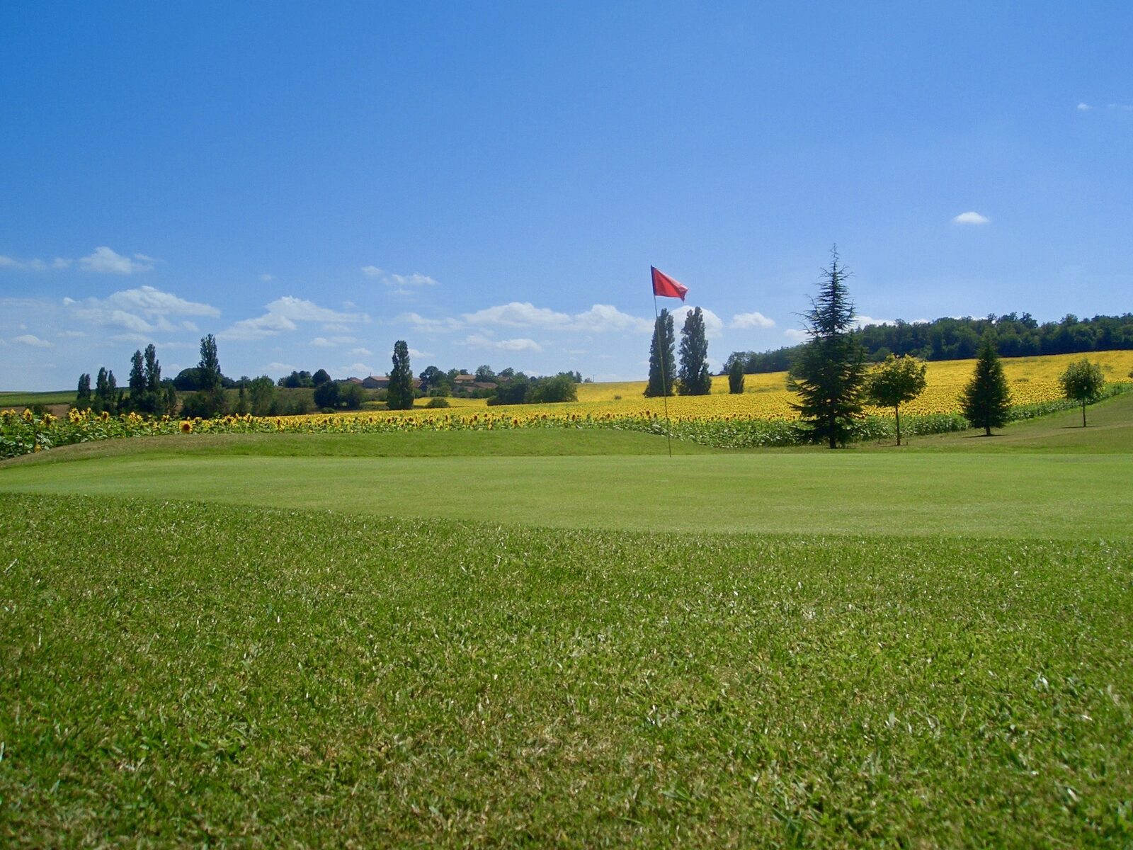 Domaine de Longeveau - gîte Catalpa
