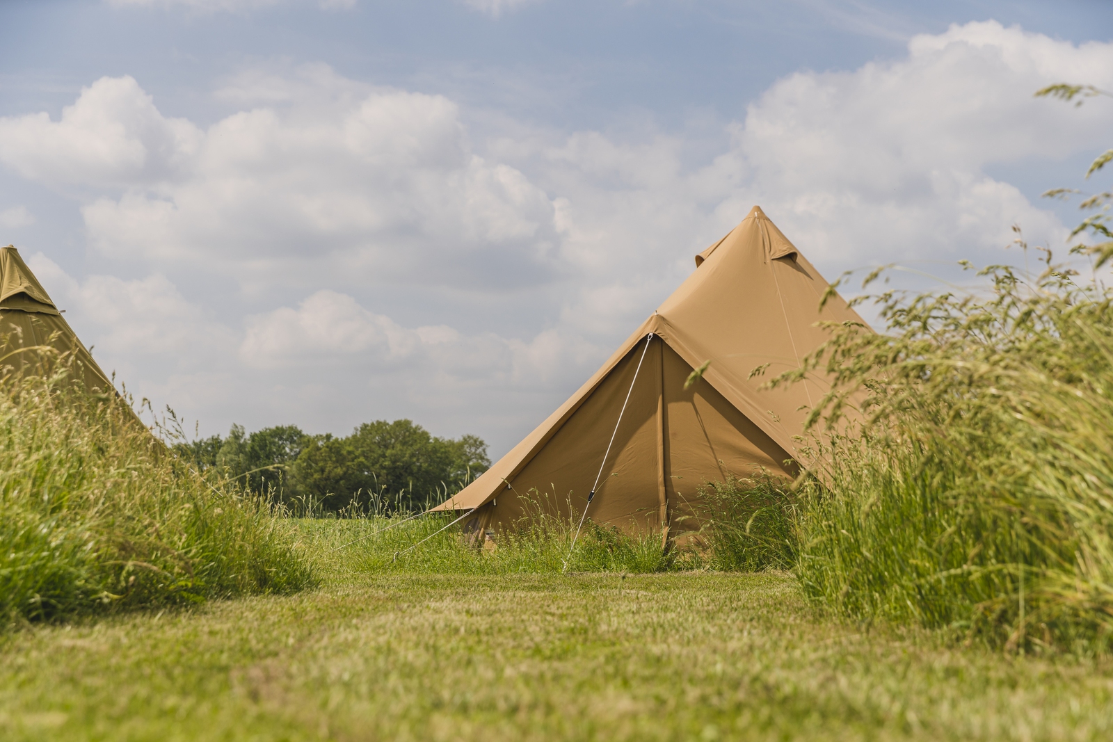 Pop-up glamping: Buurvrouws' Belltentje | 2-4 personen