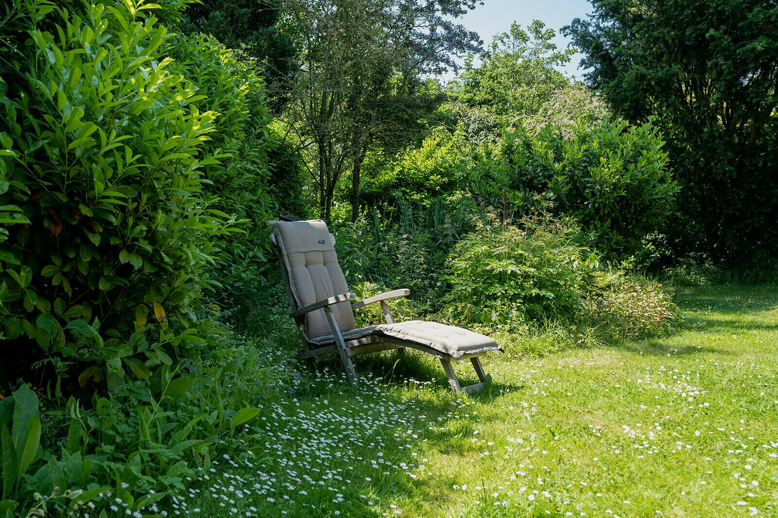 Polderbos 7 - Ouddorp