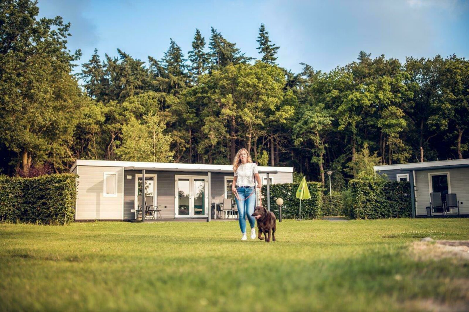 Forest Edge Chalet | 2 - 6 people