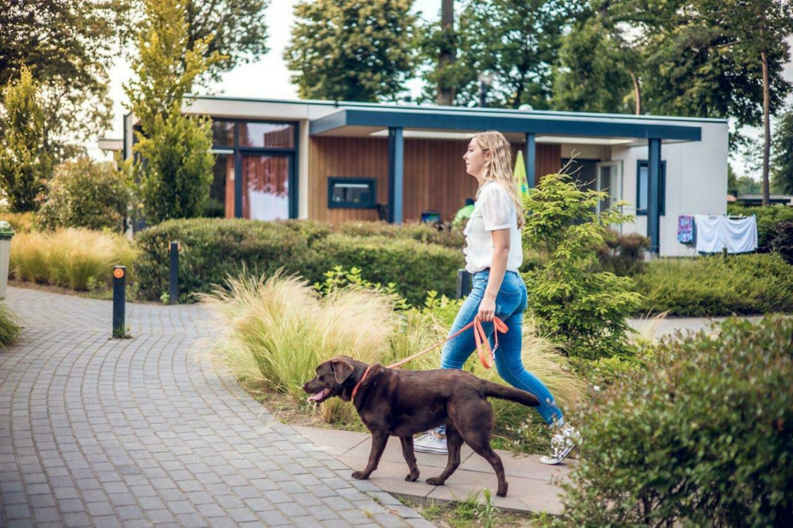 Vakantievilla | 2 - 4 pers. | Huisdier toegestaan