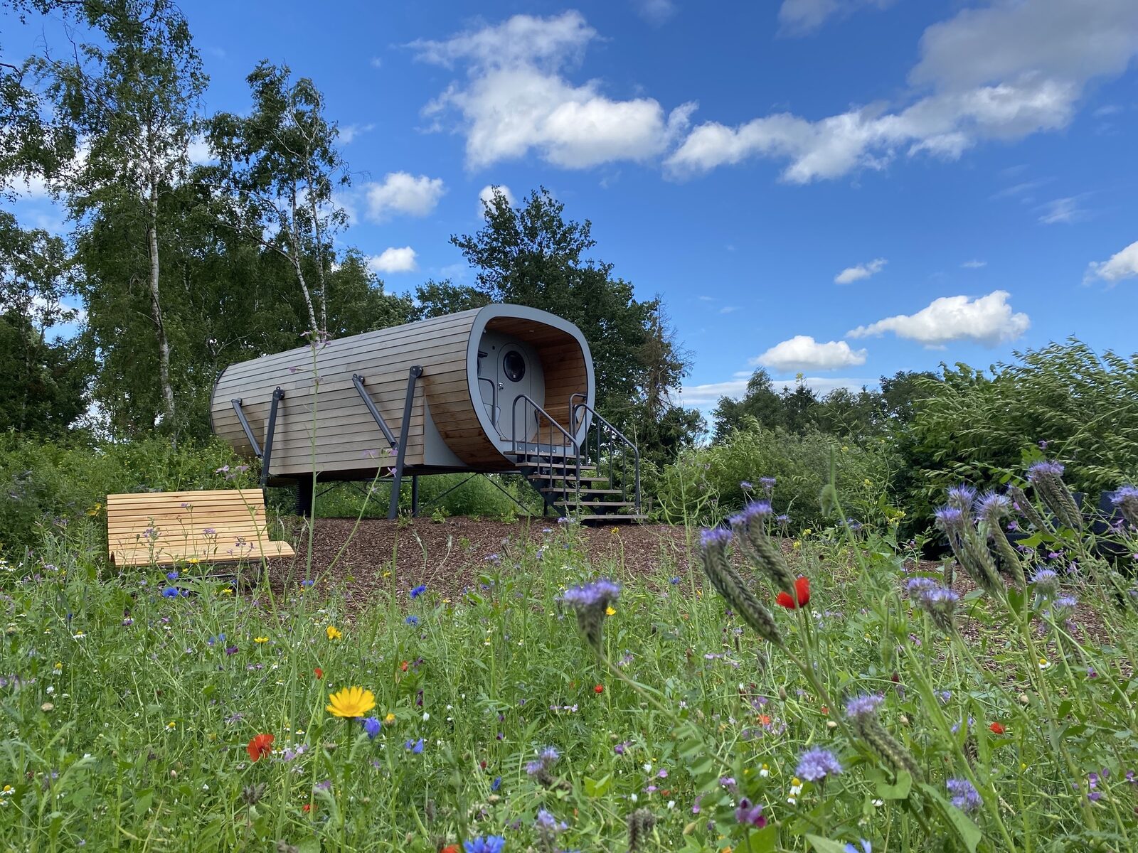 Anthropod