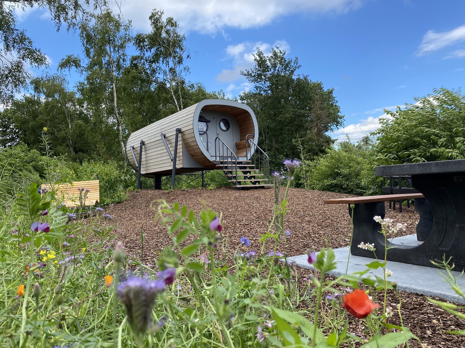 Anthropod