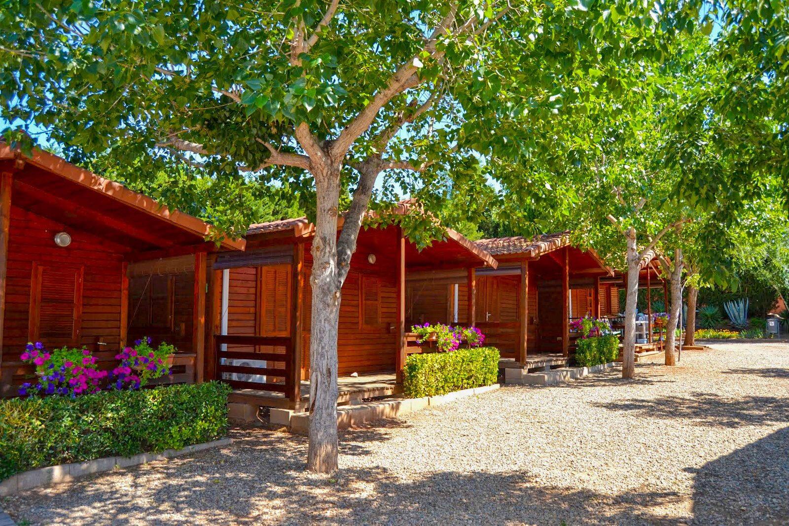 Chalet Muntanya