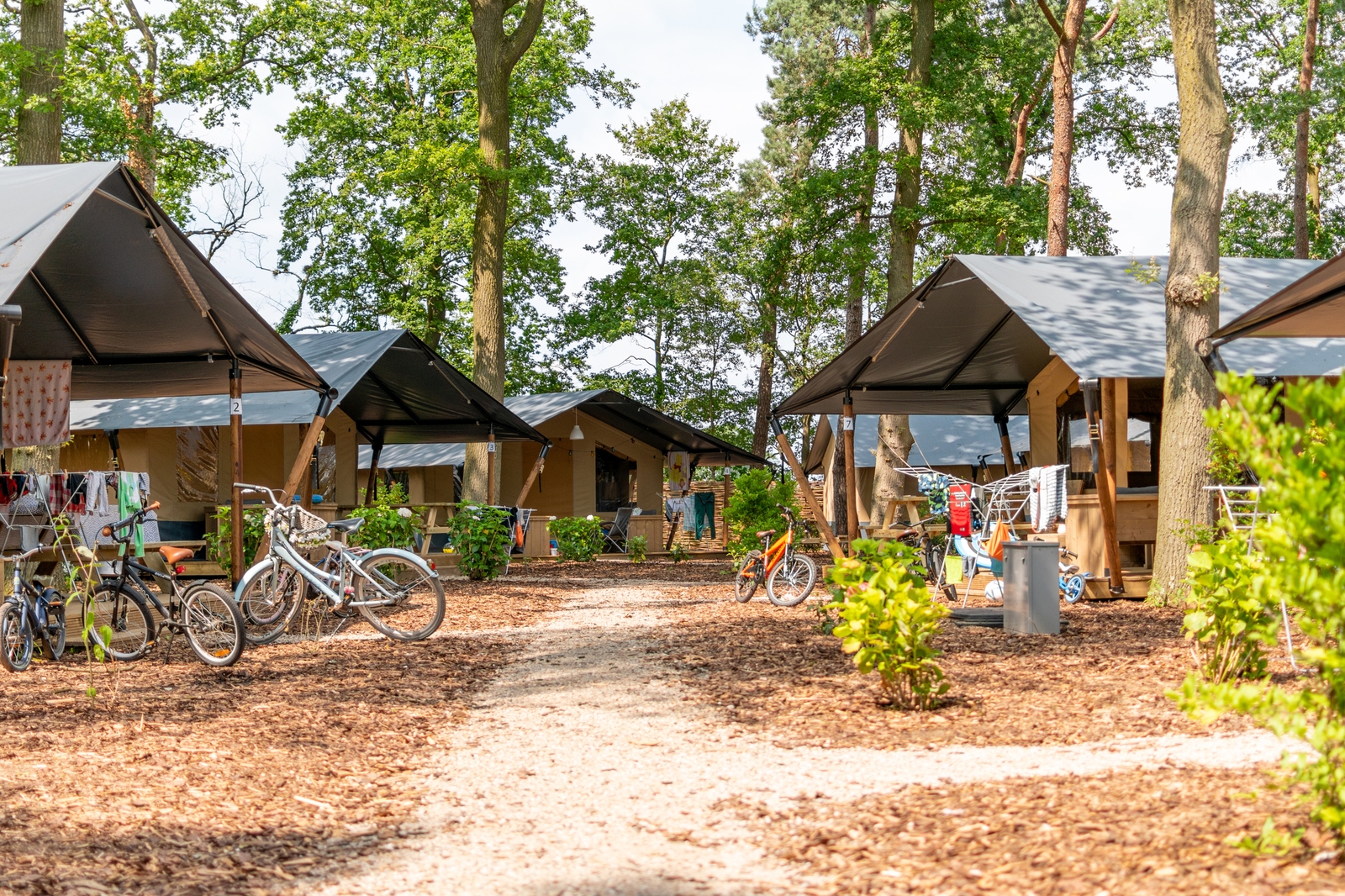 Luxe safaritent met sanitair | 6 personen