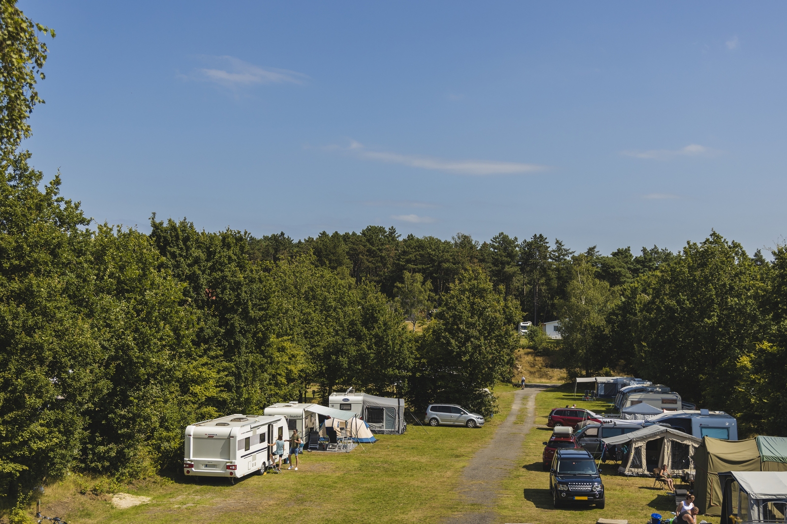 Campingplatz - Haustierfrei