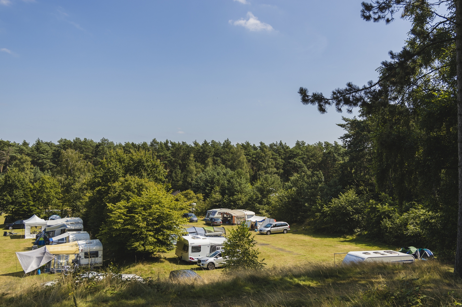 Campingplatz - Haustierfrei