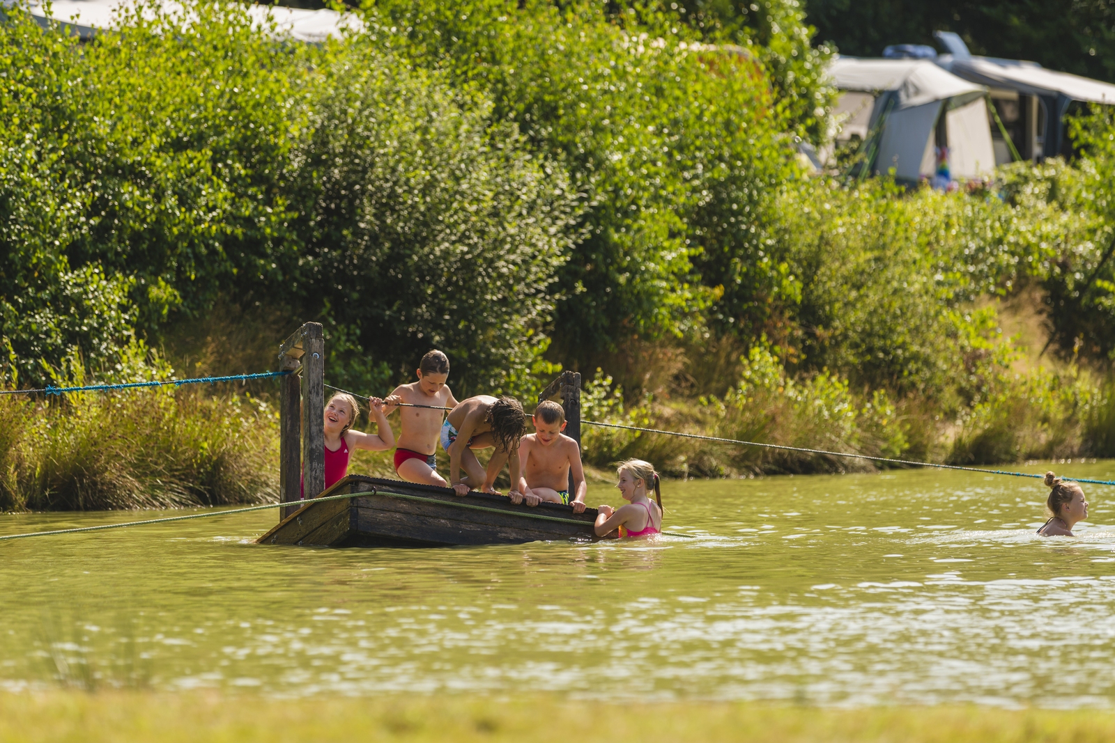 Campingplatz - Haustierfrei