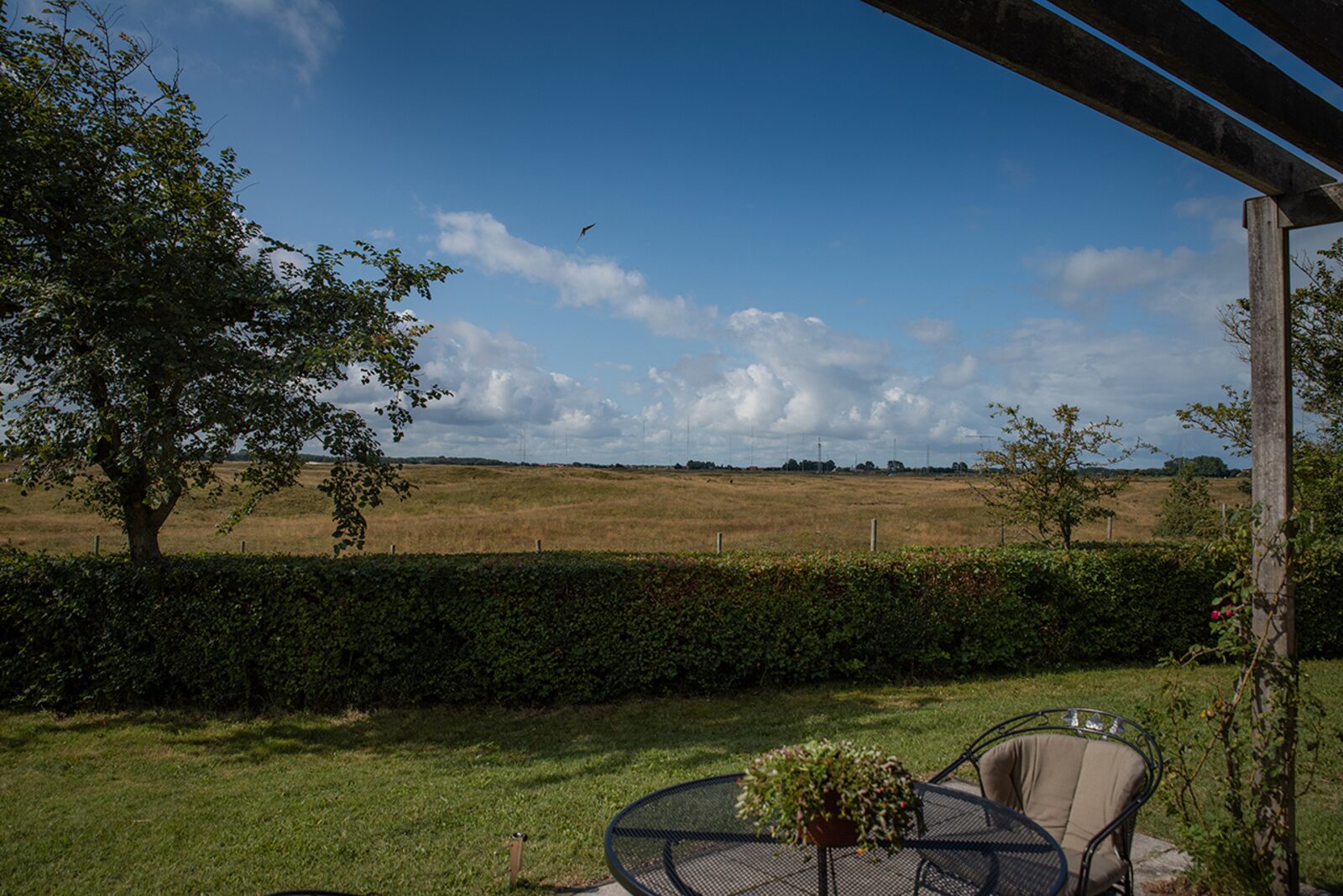 Theijwerck - Ouddorp