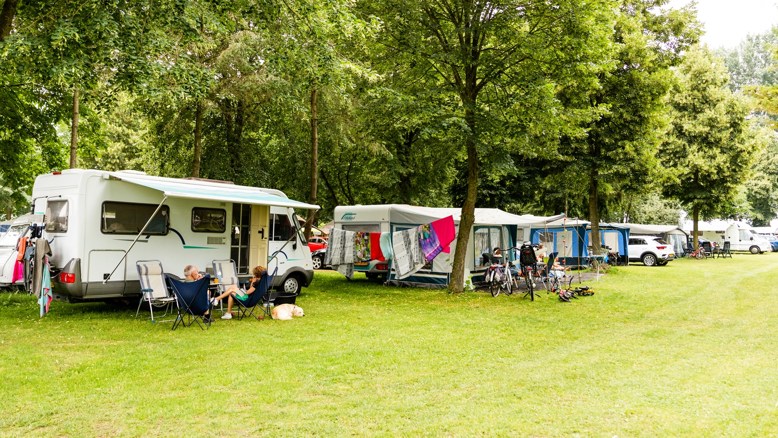 Campsite Camping 2