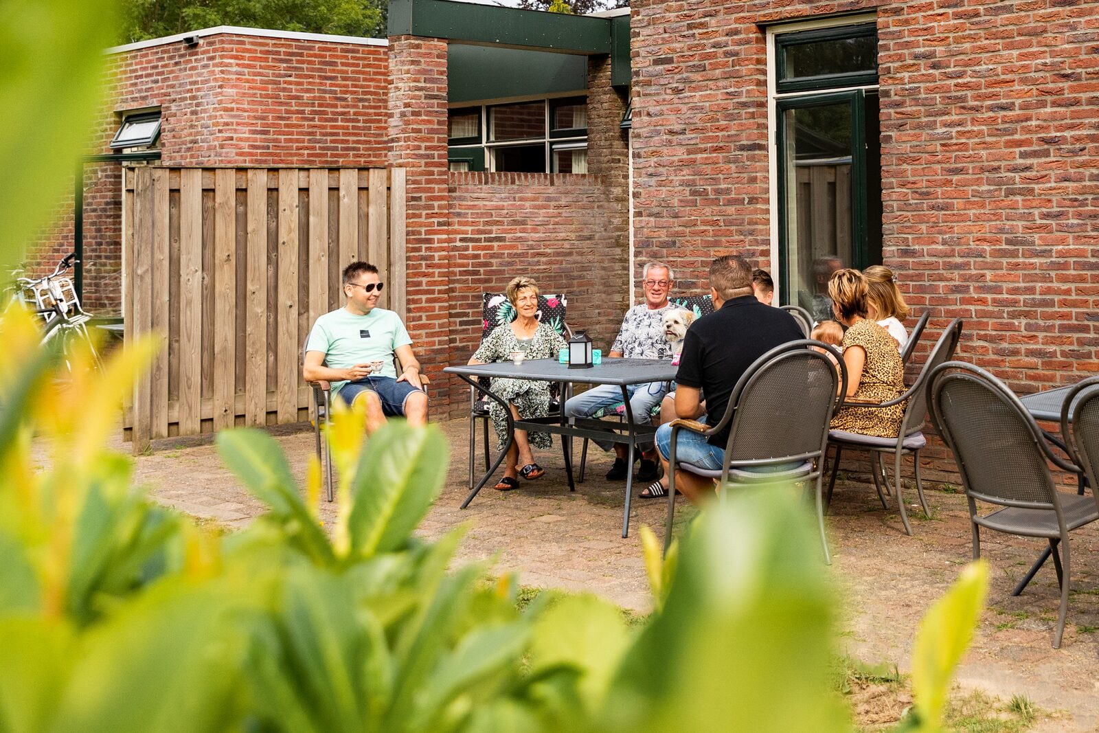 Schipbeek Bungalow | 6 Personen