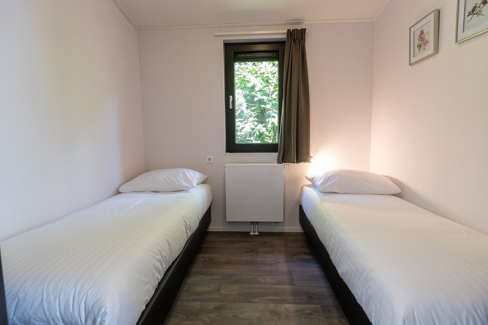Birke Lodge Eco für 4 Personen