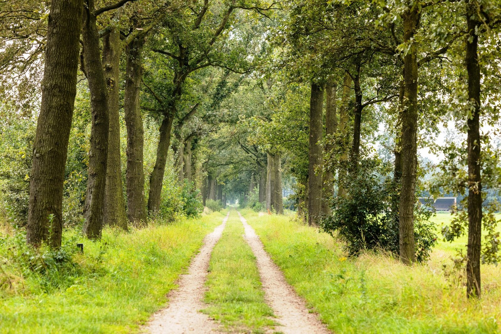 Vakantiehuis het Heerlijcke Huis
