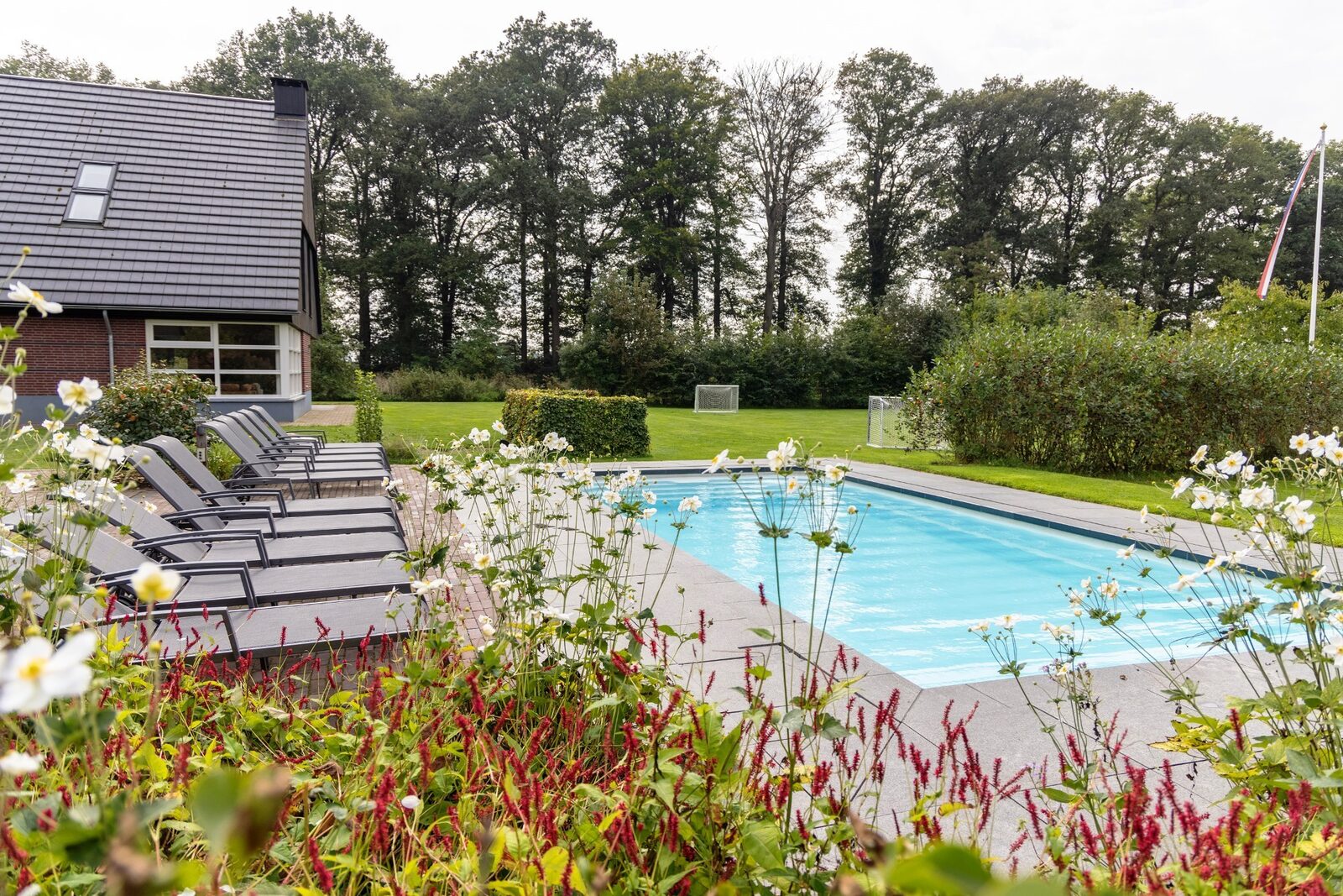 Boshoeve - luxe wellness vakantiehuis in de natuur