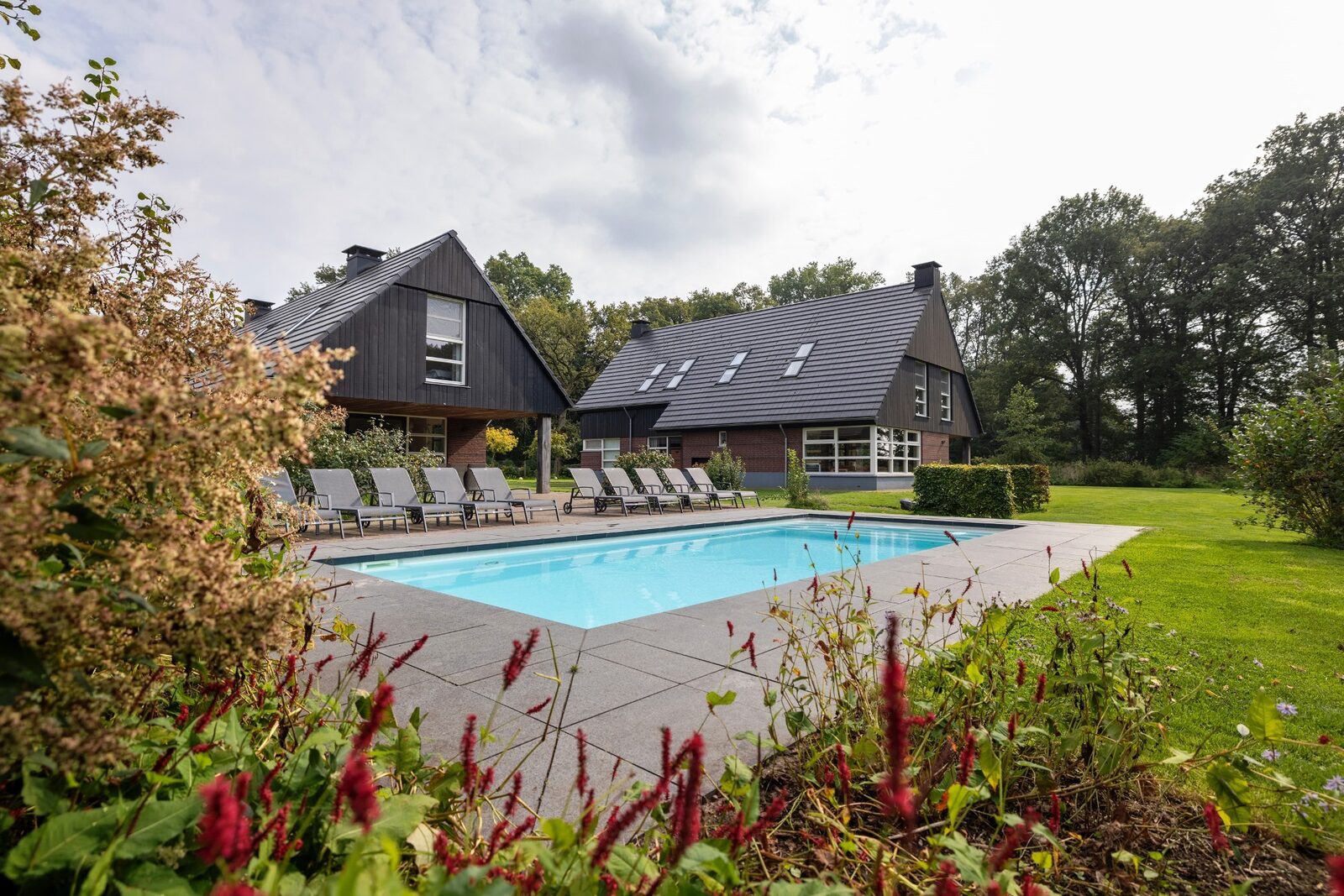 Boshoeve - luxe wellness vakantiehuis in de natuur