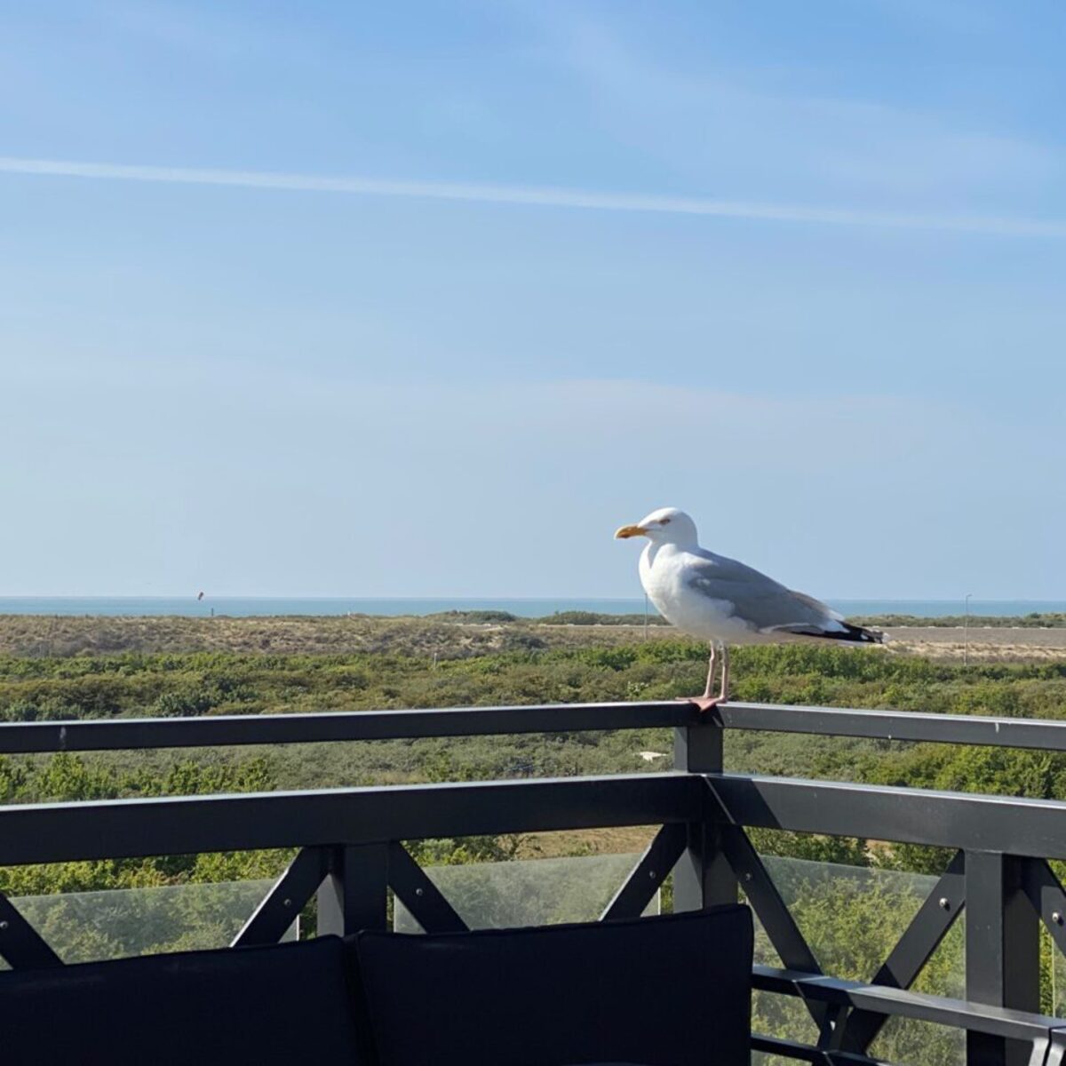 Penthouse Zeezicht (6P) - Residence Kabbelaarsbank 