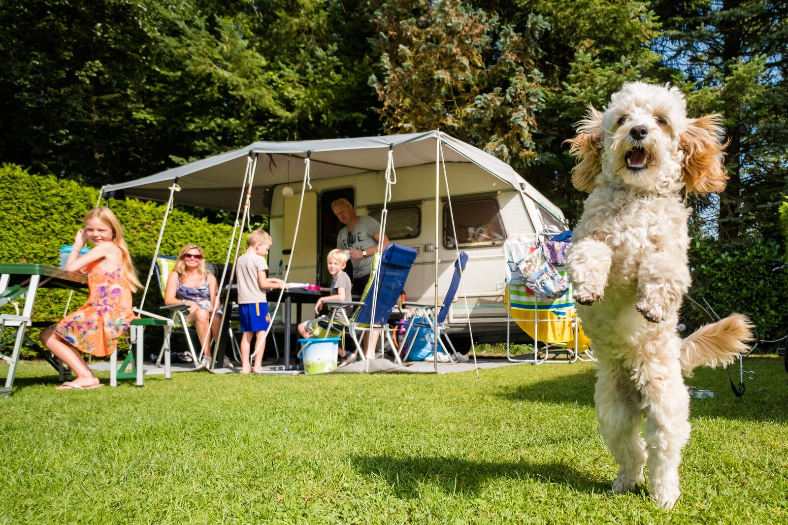 Kampeerplaats | Standaard