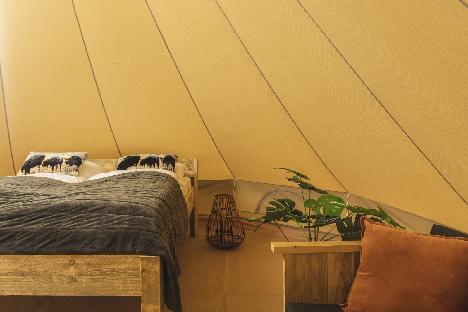 Blij in de wei tent met privé sanitair | 2-4 personen