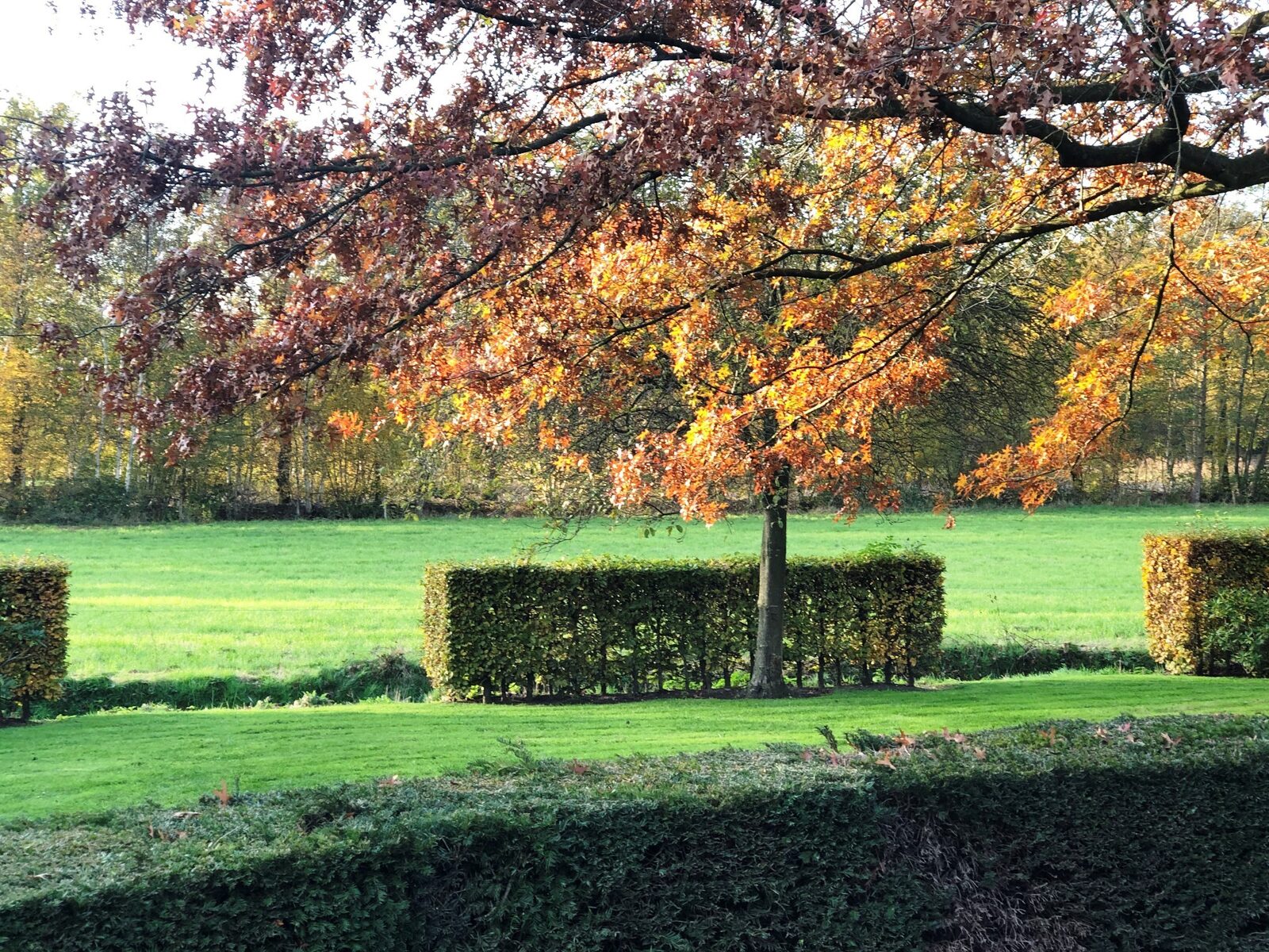 Onthaasten in de Achterhoek - vakantiehuis de Lindenburg