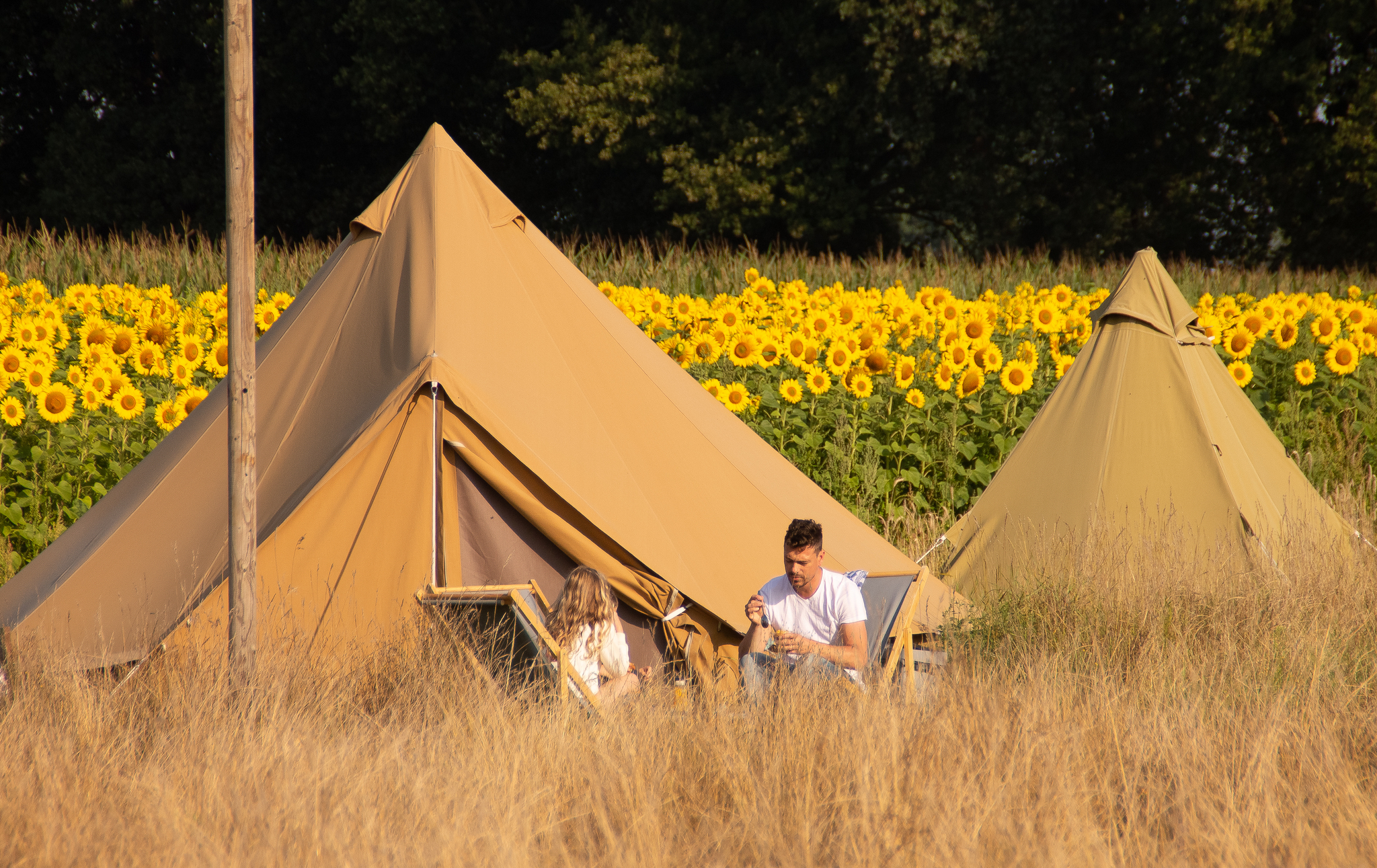 Pop-up glamping: Buurvrouws' Belltentje | 2-4 pers.