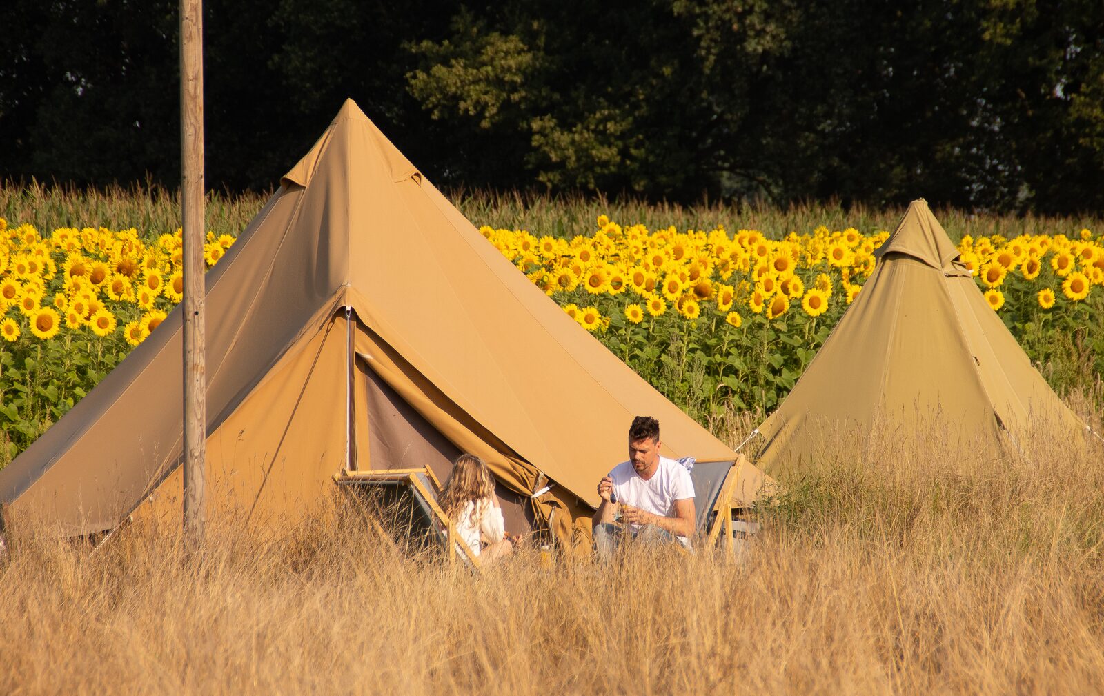 Pop-up glamping: Buurvrouws' Belltentje | 2-4 personen