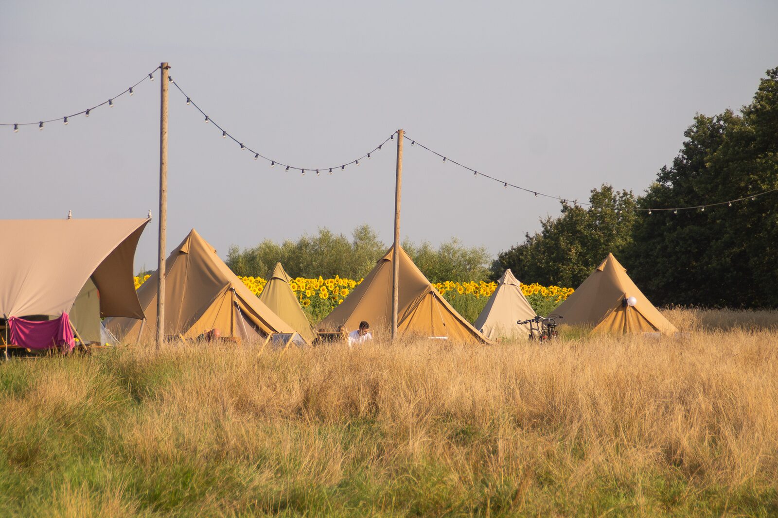 Pop-up glamping: Buurvrouws' Belltentje | 2-4 personen