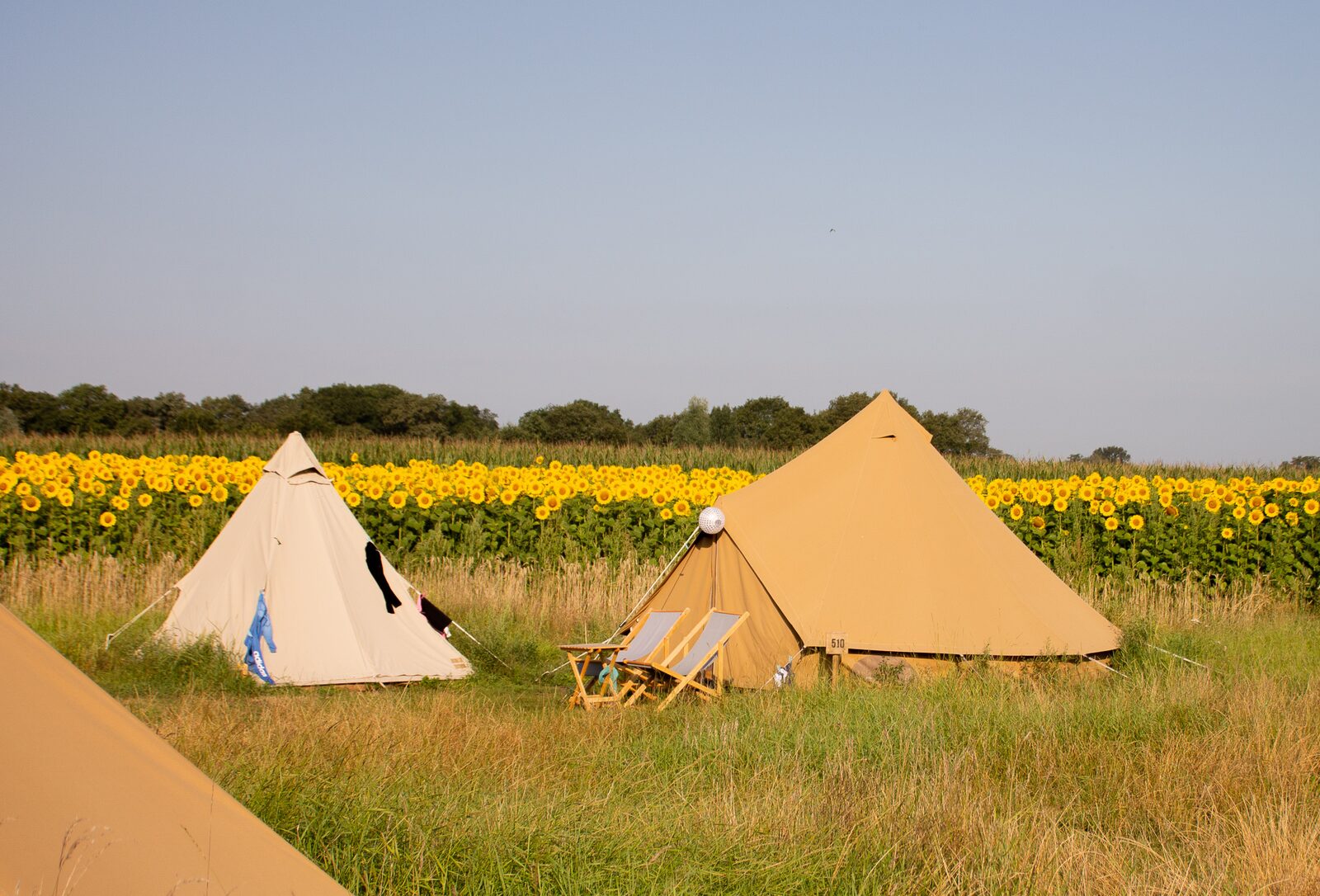 Pop-up glamping: Buurvrouws' Belltentje | 2-4 personen