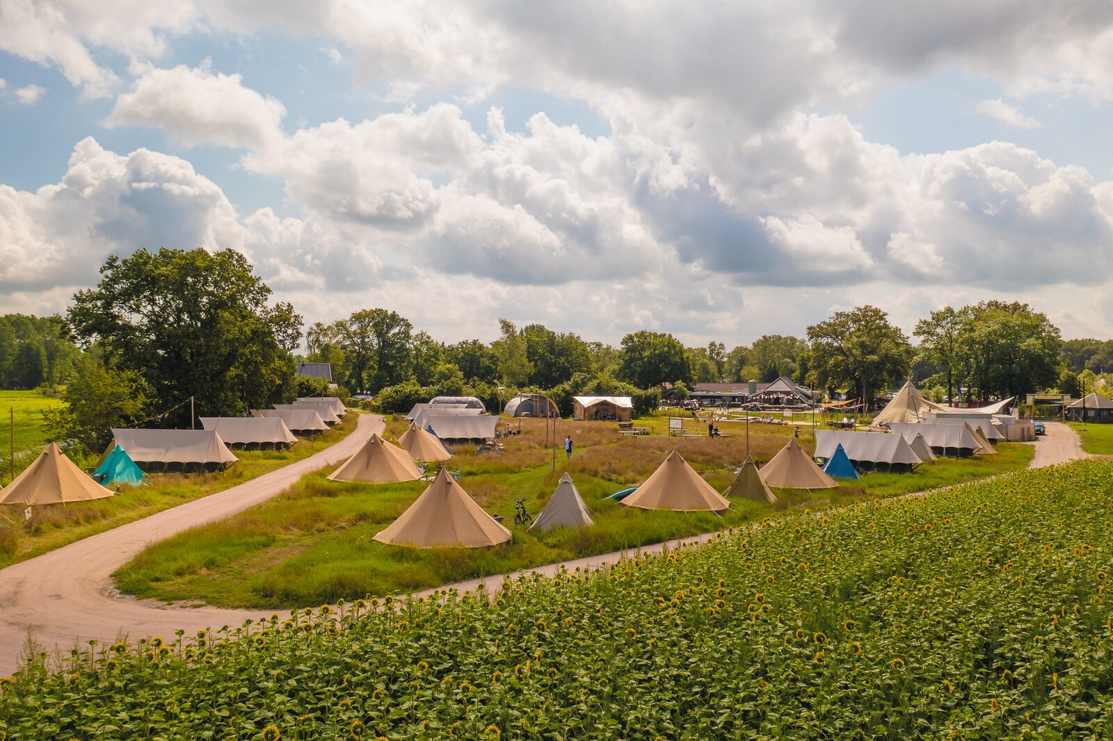 Pop-up glamping: Buurvrouws' Belltentje | 2-4 personen