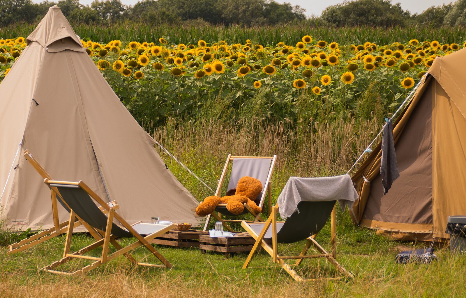 Pop-up glamping: Buurvrouws' Belltentje | 2-4 personen