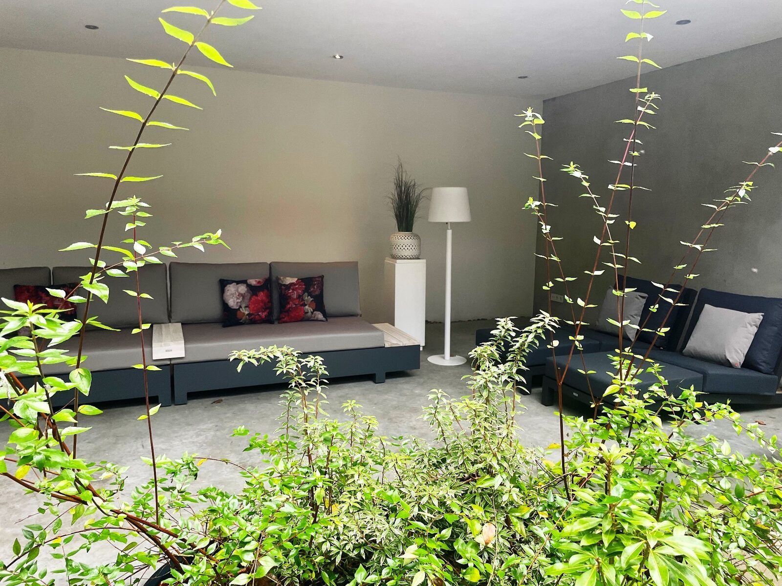 Betonnen Boshuis - luxe wellness vakantiehuis in Brabant
